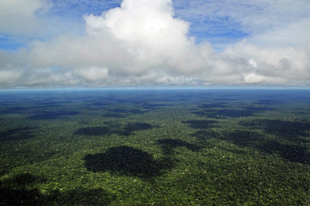 Focos de calor em áreas protegidas do Amazonas caem, mas UCs estaduais concentram registros